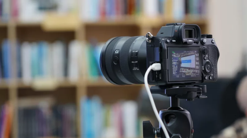 Куратор и председатель Совета обучающихся: как грамотно выстроить работу органа ученического самоуправления